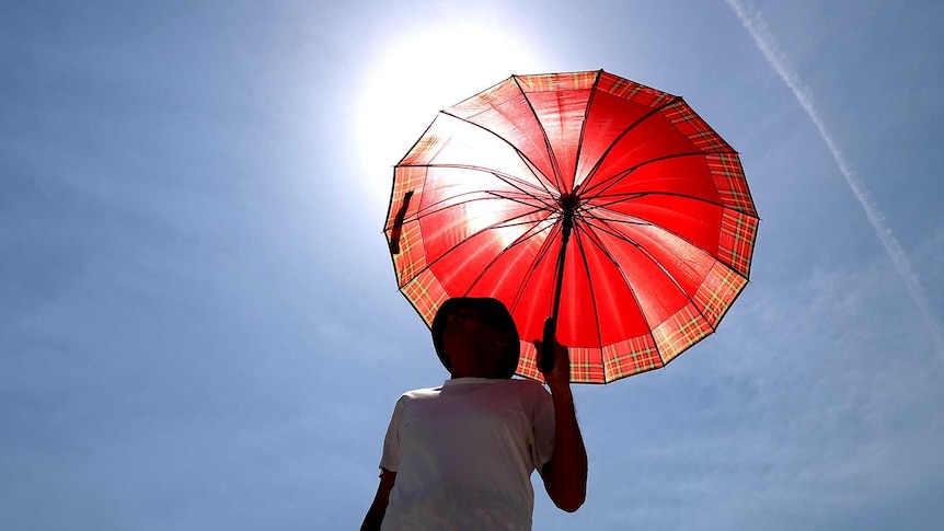 A hot weather photo of a person holding a parasol with the sun behind them
