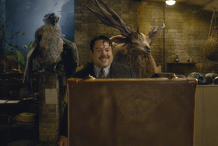 Dan Fogler in 2018 film Fantastic Beasts: The Crimes of Grindelwald.