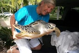 Dr Jennie Gilbert has returned to Cooktown with a rehabilitated green turtle.