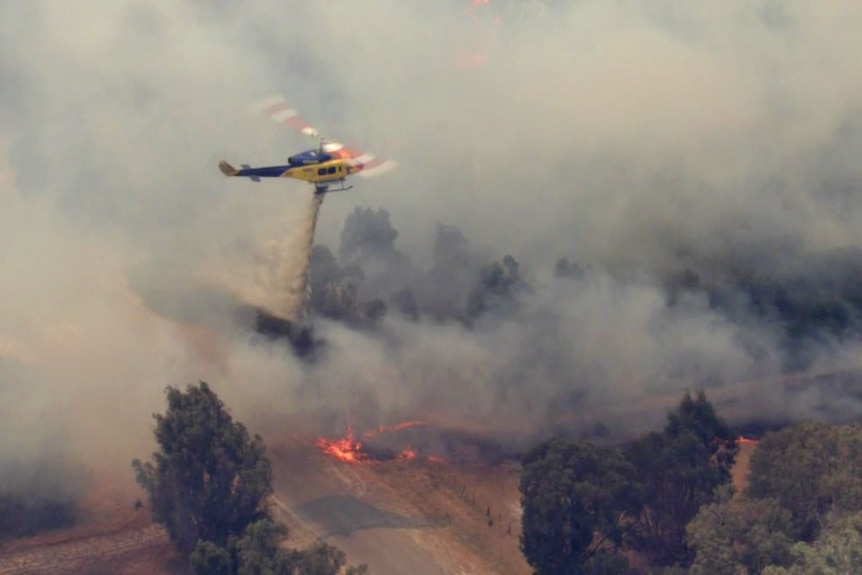 A water bomber dumps water on a fire