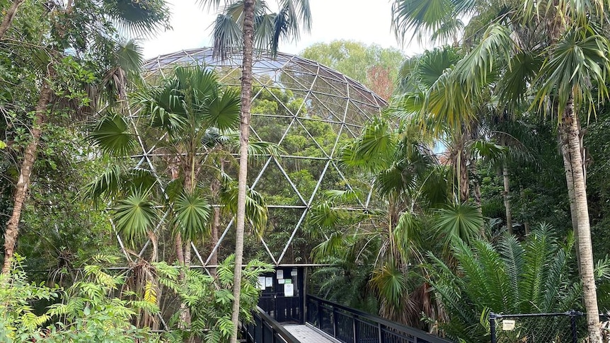 The Rockhampton zoo aviary dome stands surrounded by lush greenery, with greenery insdie