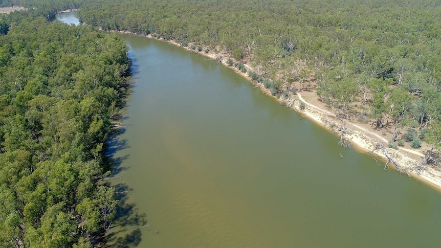 Photo from the air of the Murray River, near Cobram 2019.