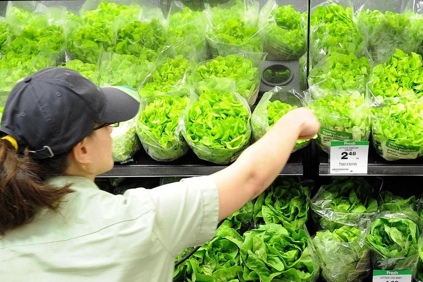 A woman with her back to the camera puts lettuce in plastic on a shelf to depict how to choose fresh vegetables.