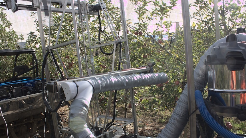 A robot that picks apples under testing in the orchard