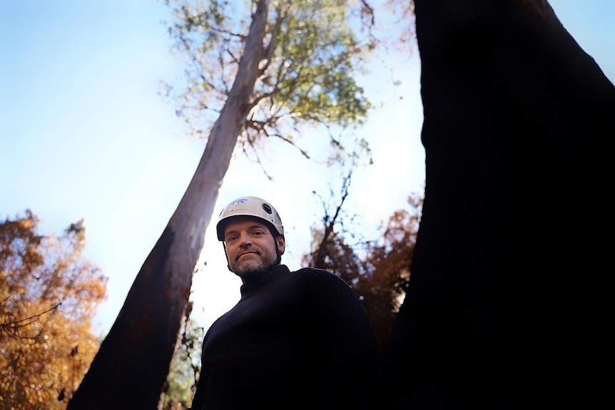 Russell DuGuesclin in front of giant trees.