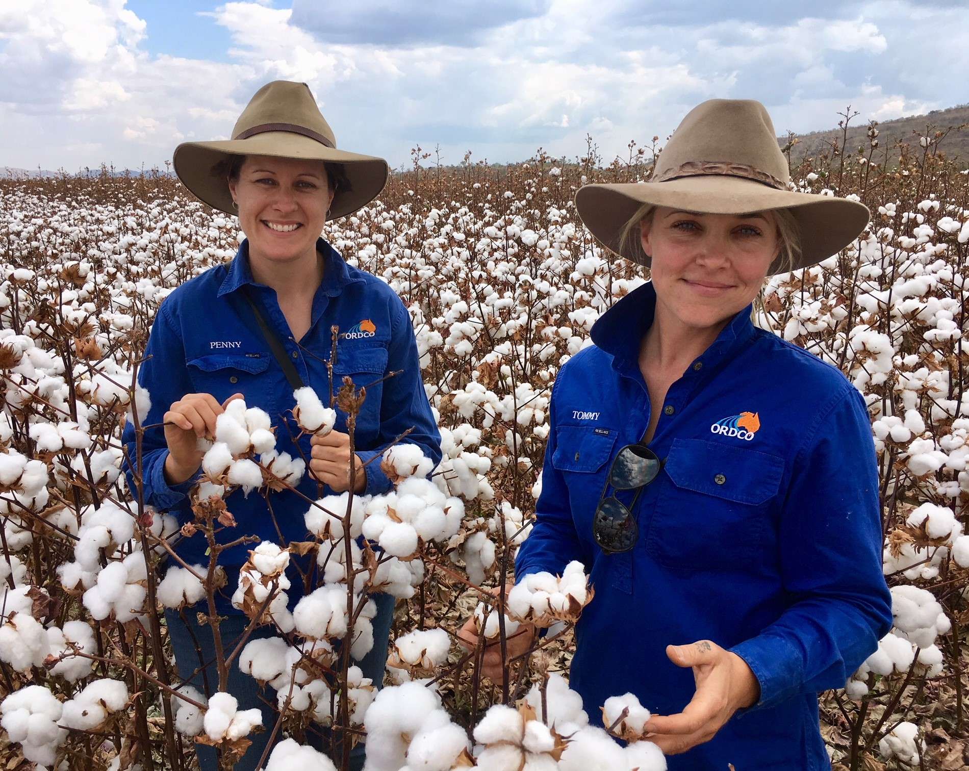 Ord Valley cotton industry hits new highs in WA's far north, as