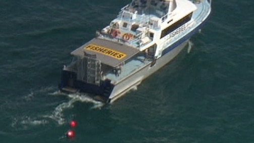 WA fisheries officers set baited drum lines to catch sharks off Perth beaches