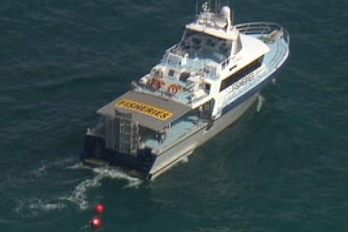 WA fisheries officers set baited drum lines to catch sharks off Perth beaches