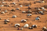 UNHCR Refugee camp in Dadaab, Kenya