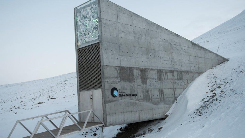 Enter the Arctic Doomsday Vault