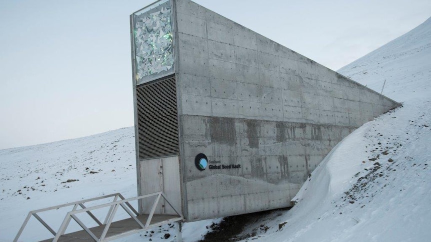 A large rectangular building built into the side of a snowy mountain in Norway.