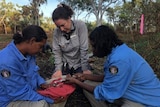 Three women examine a small animal in remote bushland