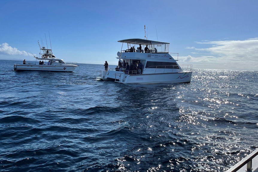 Two large motor boats at sea.