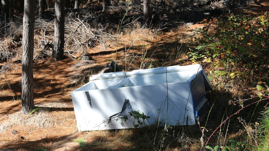 A fridge dumped in the bush.