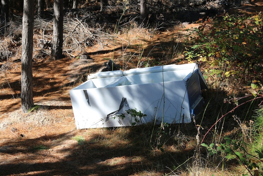 A fridge dumped in the bush.