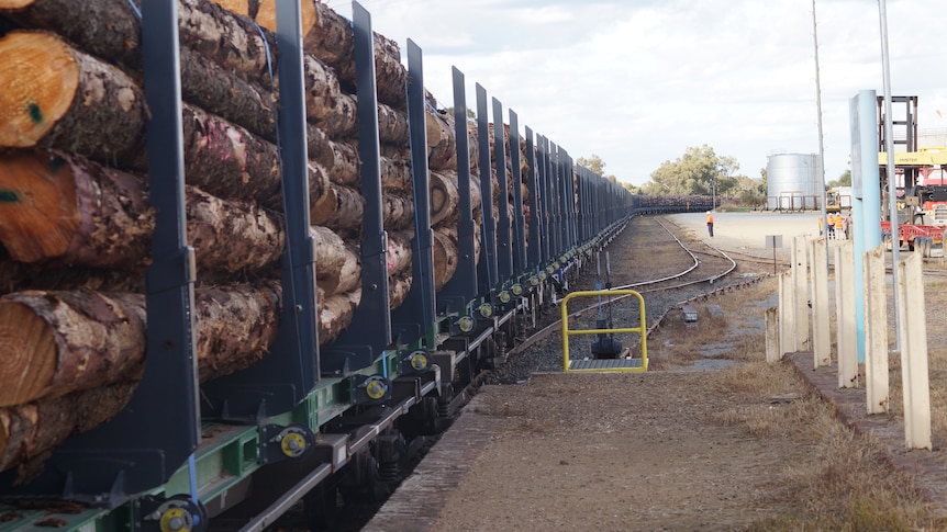 Les grumes de sciage ont été transportées sur plus de 900 km par chemin de fer pour approvisionner les usines de Riverina touchées par les feux de brousse