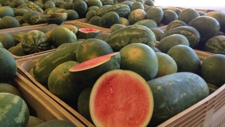 Watermelons stacked in a warehouse