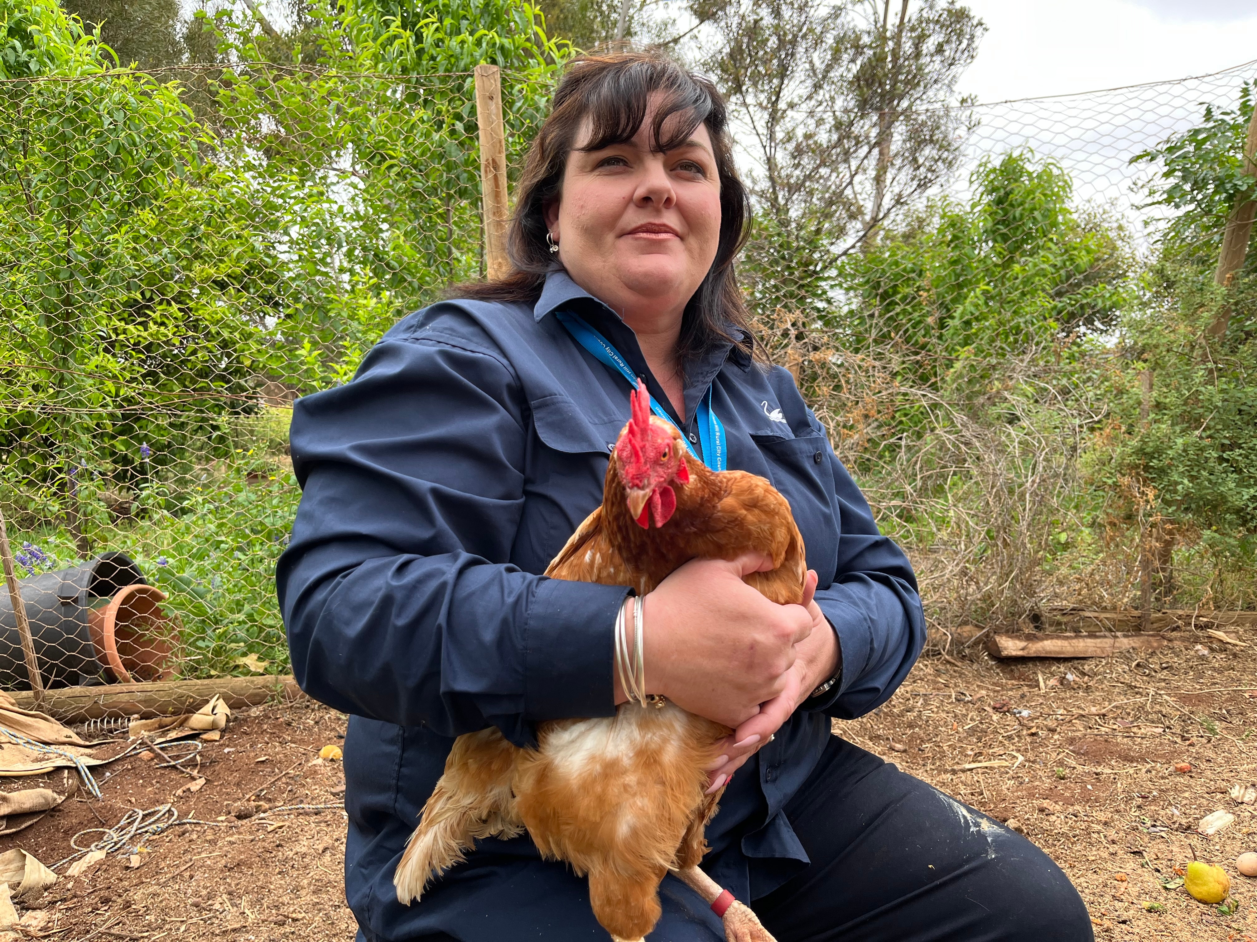A woman in a navy shirt is nursing a brown chicken