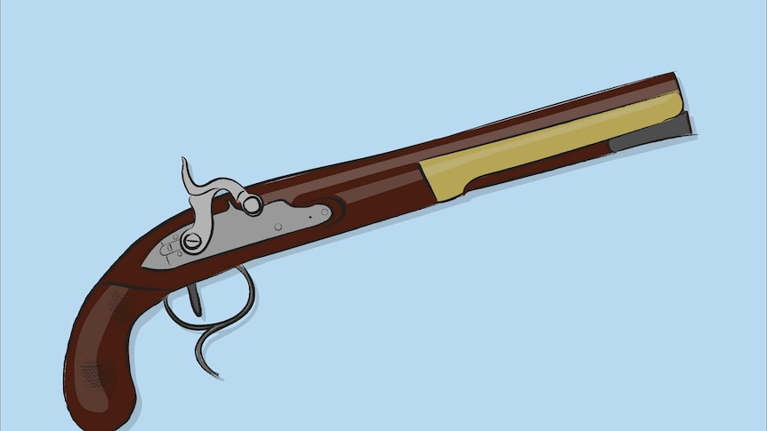 A drawing of an old fashioned pistol on a light blue background