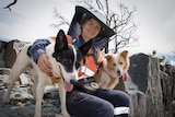 woman in PPE with sniffer dogs at work site