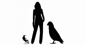 Giant bird Heracles compared to a human and a magpie