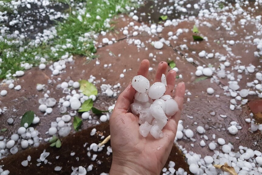 A woman holds large hail stones in her hand.