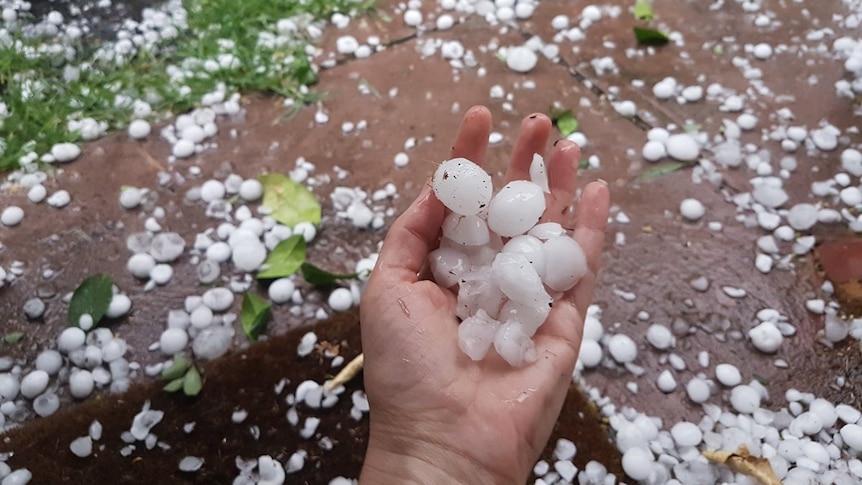A woman holds large hail stones in her hand.