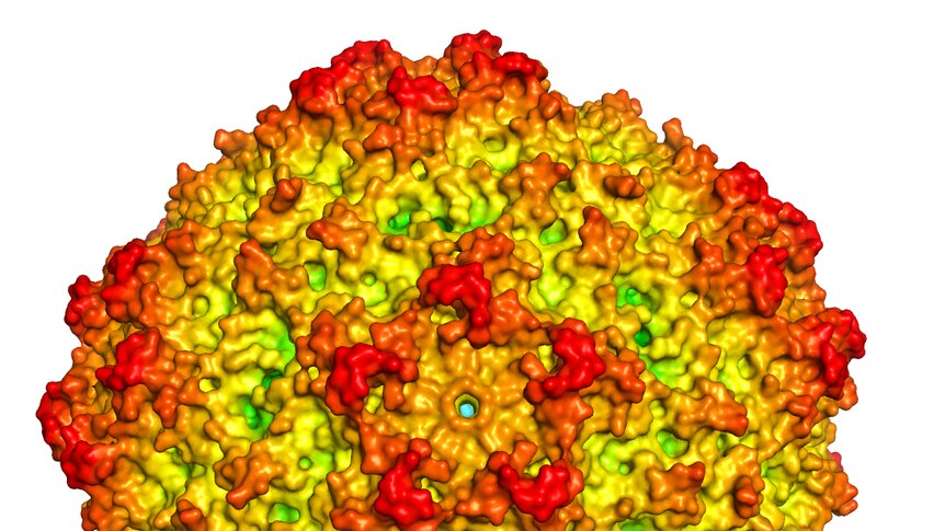 A brightly-coloured digital image of the virus.