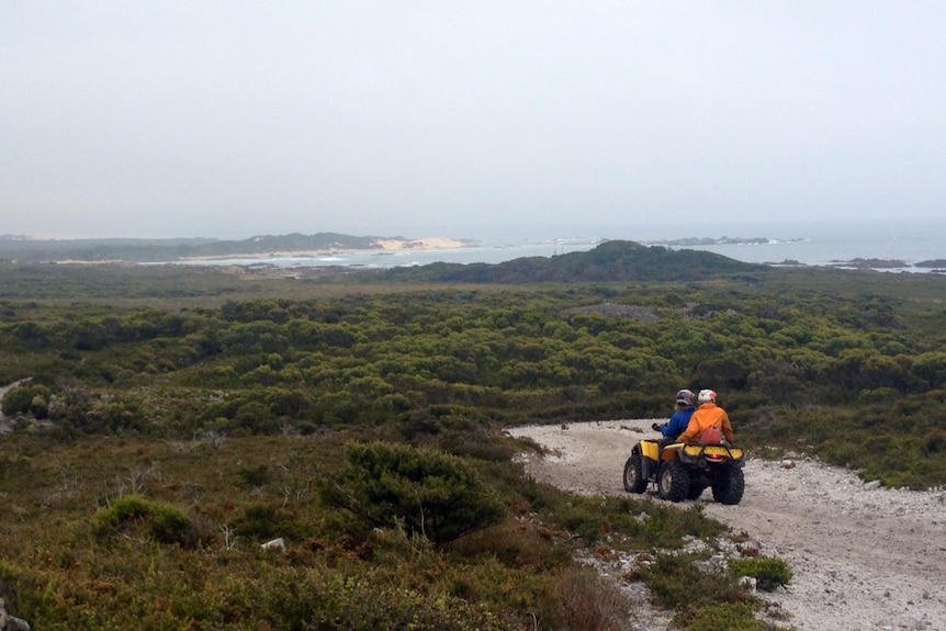 Two riders on a quad bike make their way on a track on Tasmania's west coast.