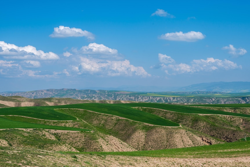 Green wavy hills with mountains and sky in the background 