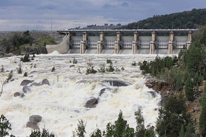 Wyangala Dam releases water