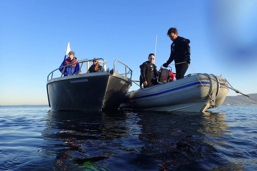 Handfish showed immediate interest