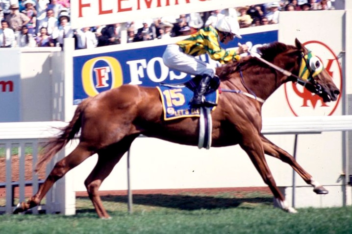 1991 Melbourne Cup winner Let's Elope