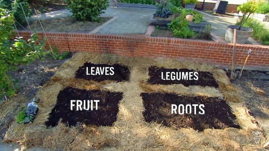 Garden beds with crop type text overlayed demonstrating crop rotation.