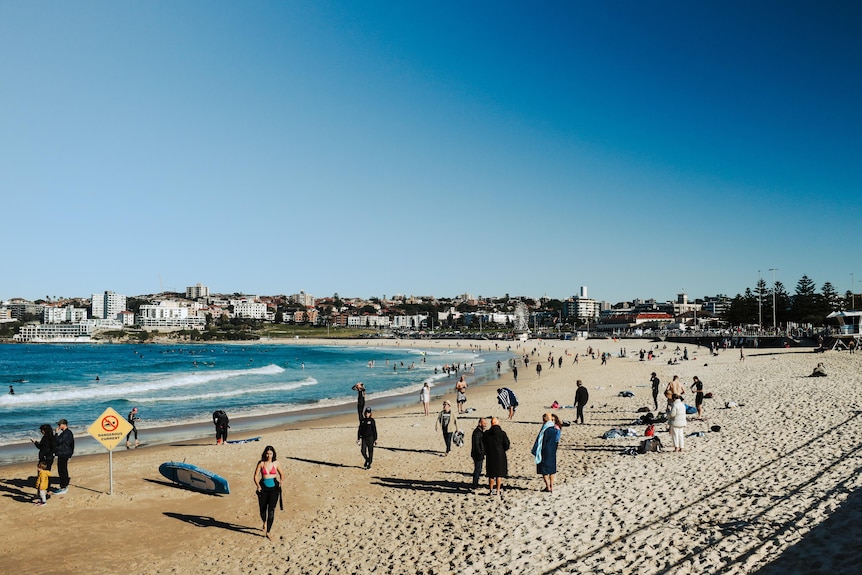 people at the beach