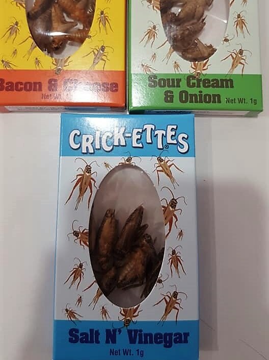 Three rectangular packets labelled 'crick-ettes' feature clear windows showing fried insects inside.