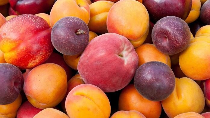 apricots, plums and nectarines on top of one another taken from above