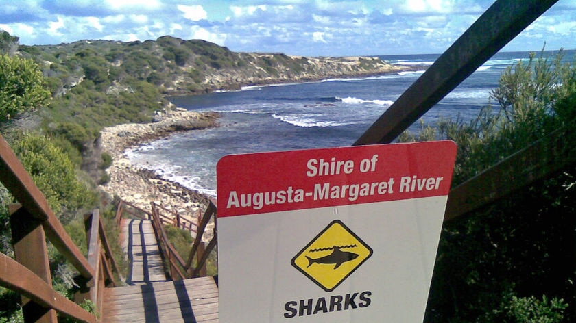 A sign saying a beach is closed after a shark attack, at the top of a boardwalk.