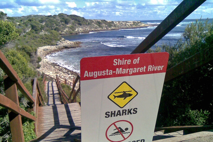 A sign saying a beach is closed after a shark attack, at the top of a boardwalk.