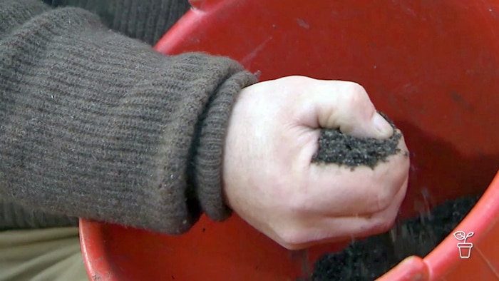 Hand holding soil scooped from a red bucket