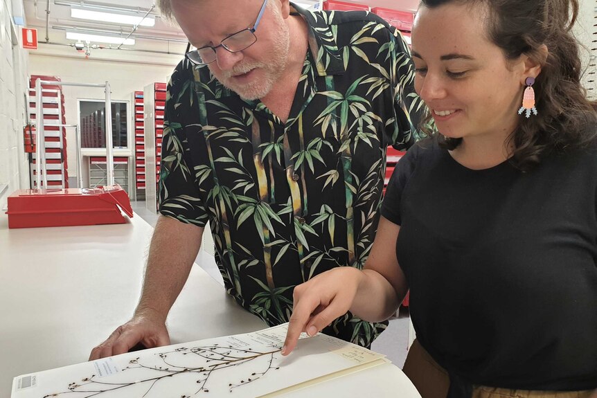 Man with beard and glasses in black pattern shirt with woman in black shirt and floral earrings looking at dried plant specimen