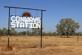 A sign for Conways Station with a tree to the right.
