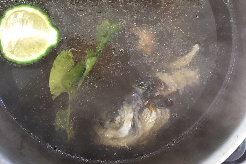 A fish broth with floating fish head.