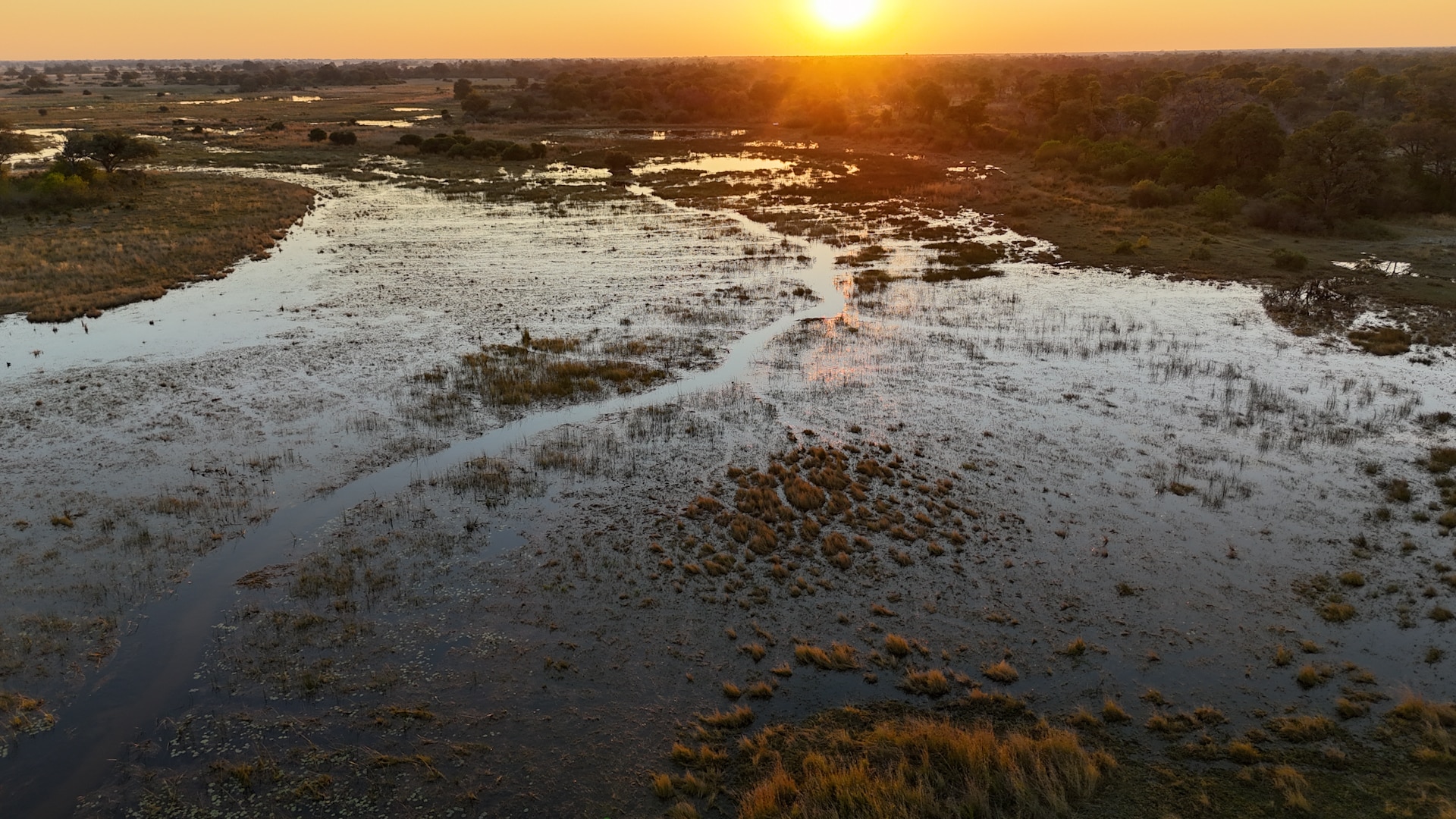 Botswana's UNESCO wetlands offers lessons for Australia