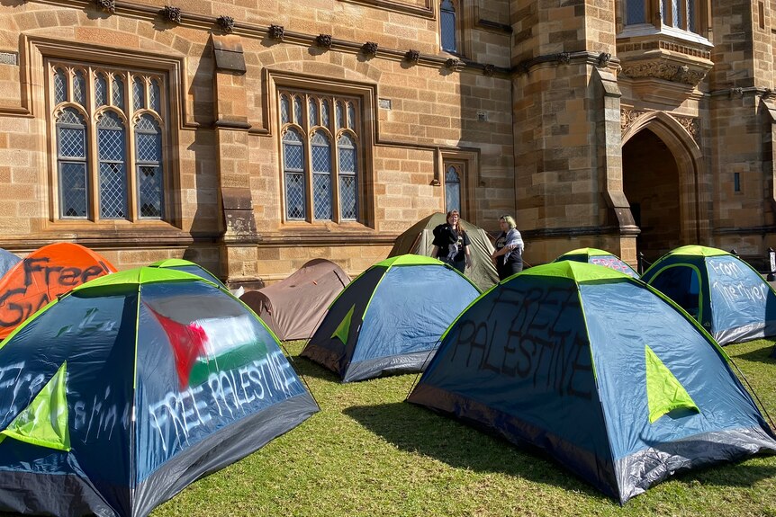 悉尼大学表示，仍将致力于言论自由，但任何违反大学规则的人都将面临相应的处罚。