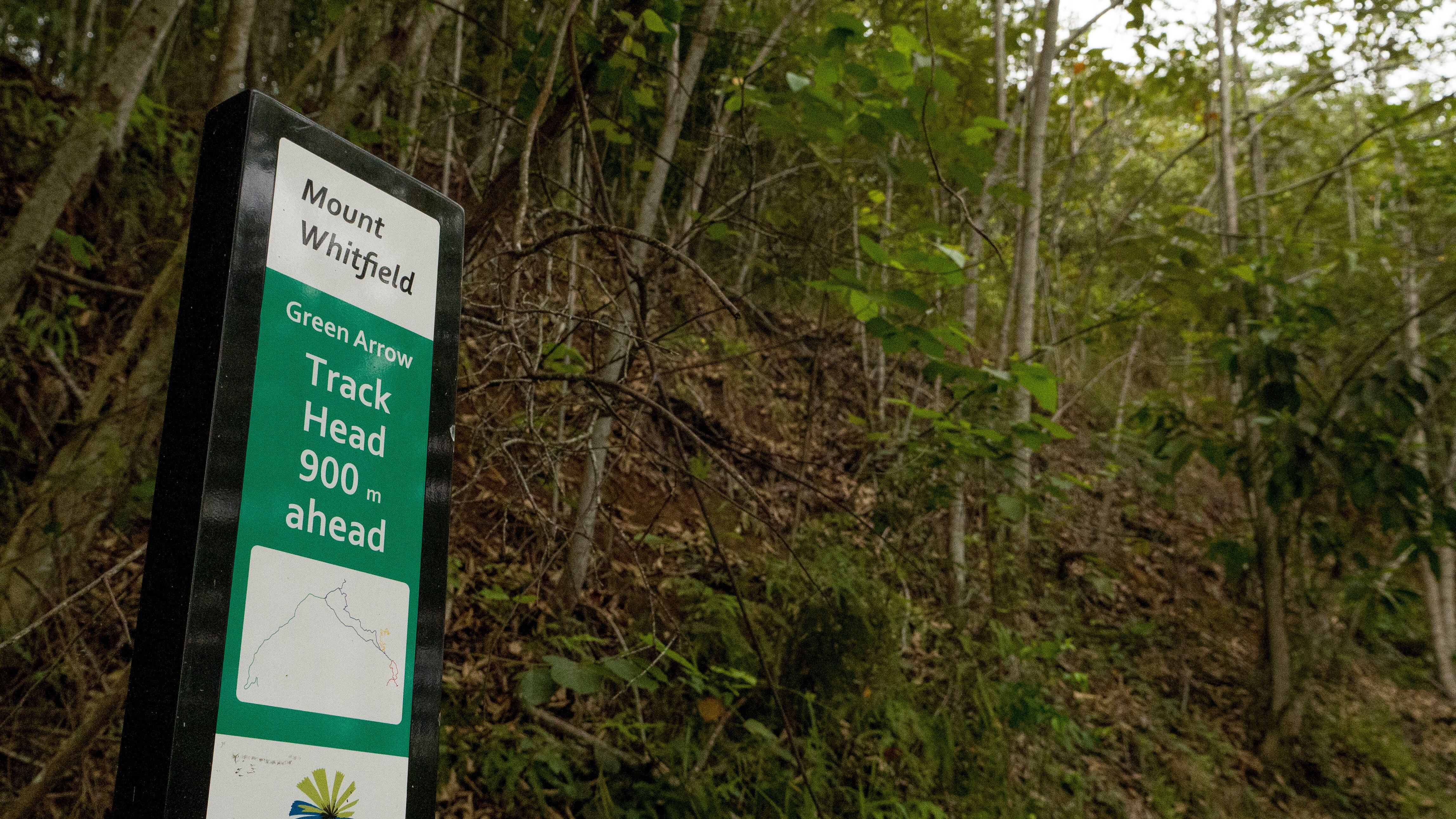 Woman Found After Two Days Stranded In Cairns Bushland Off Green Arrow ...