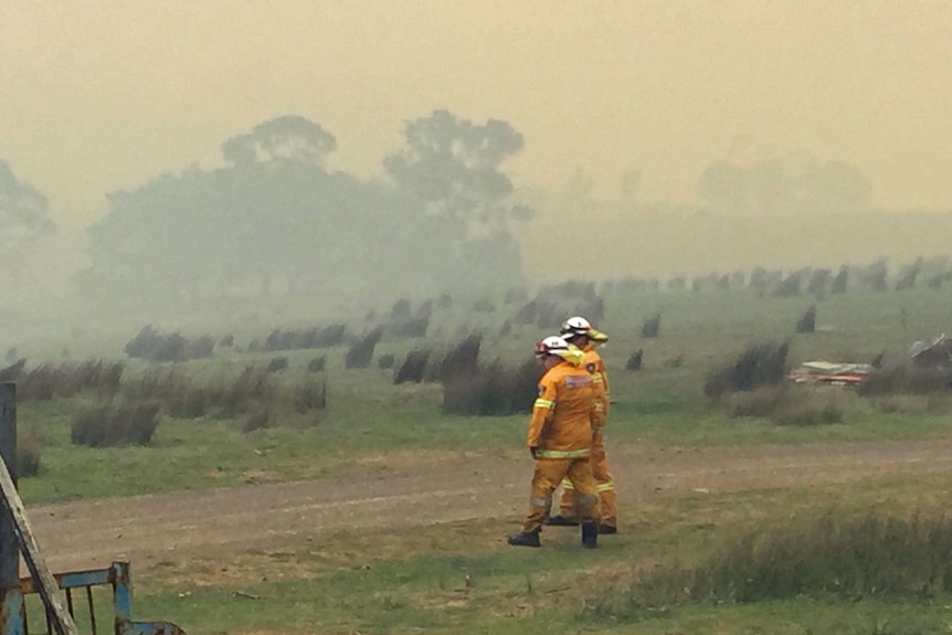 Fire fighters in strong wind and smoke during a bushfire near Campania.