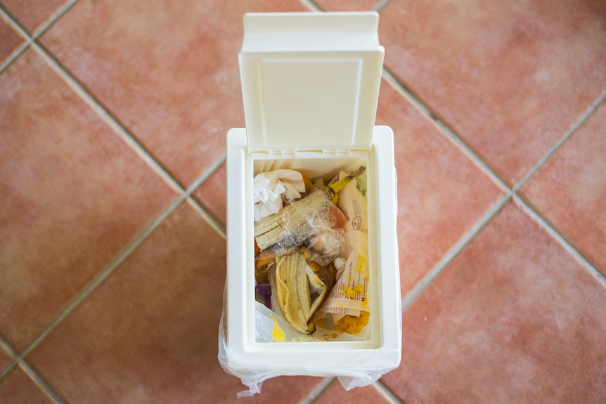 Rubbish bin filled with food scraps.