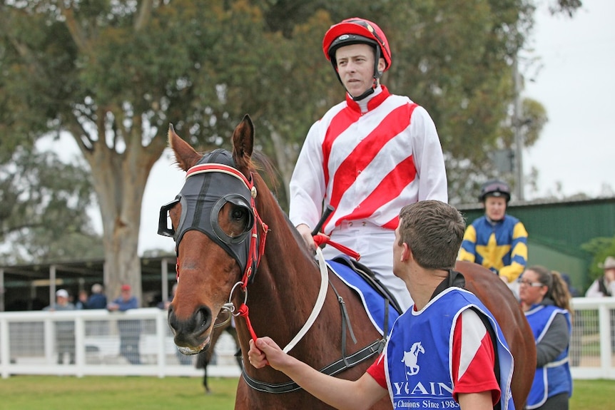 Jockey Harry Coffey sits on a horse in a mounting yard at Mildura Racecourse.