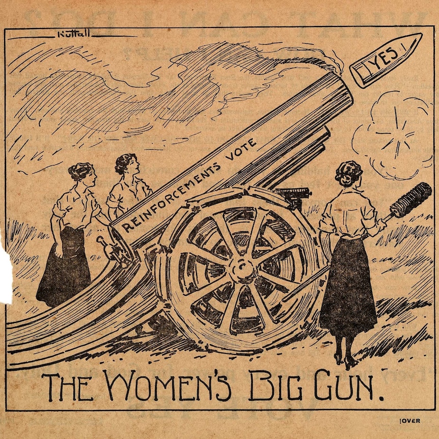An illustration showing women firing a large gun labelled "reinforcements" the bullet has "yes" on it.
